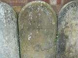 image of grave number 240615